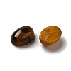 Natural Tiger Eye Cabochons G-F605E-19B-2