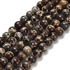 Natural Astroite Jasper Beads Strands G-H329-C02-6mm-2