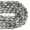 Natural Labradorite Beads Strands G-G453-D10-01-5