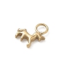 304 Stainless Steel Charms STAS-B140-01G-2