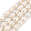 Natural Cultured Freshwater Pearl Beads Strands PEAR-P062-09B-1