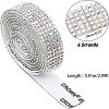 Glitter Glass Hotfix Rhinestone(Hot Melt Adhesive On The Back) DIY-FH0002-53B-4