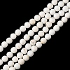 Synthetic Turquoise Beads Strands GG-CBA391B-03D-02-2