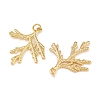Brass Pendants KK-L255-01G-02-2