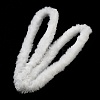 Polyester with Aluminium Rope Plush  Embroidery Sewing Trimming DIY-Z031-03A-2