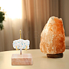 Square Wooden Crystal Rock Display Easels with Iron Holder ODIS-WH0038-28B-G-7