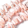 Dyed Natural Trochus Shell Beads Strands SSHEL-C013-09L-1