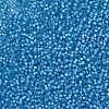 MIYUKI Round Rocailles Beads SEED-X0054-RR0573-3