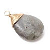Natural Labradorite Pendants PALLOY-JF05086-02-4