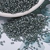 MIYUKI Delica Beads SEED-J020-DB0697-1