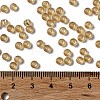 Glass Seed Beads SEED-H002-C-A036-4