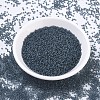 MIYUKI Round Rocailles Beads SEED-G007-RR1938-2