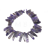 Natural Amethyst Beads Strands G-S318-03-2