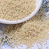 MIYUKI Round Rocailles Beads SEED-G007-RR0487-1