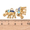 304 Stainless Steel Enamel Pendants STAS-Z193-12G-01A-3