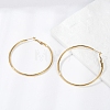 201 Stainless Steel Hoop Earrings LS-EJEW-F188-24G-C-1