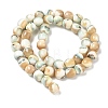 Natural Seashell Shell Beads Strands SH-CBAFEDD-01A-5