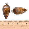 Natural Tiger Iron Pendants GG-K002-16V-3