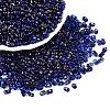 Picasso Spray Painted Glass Seed Beads SEED-T006-04-8-3