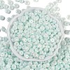 Opaque Colours Luster Glass Seed Beads SEED-P008-01C-04-3