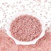 Baking Paint Glass Seed Beads SEED-Q041-03A-06-2