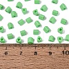 FGB Baking Paint Glass Seed Beads SEED-Q040-09A-12-4