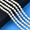 Natural Cultured Freshwater Pearl Beads Strands X-PEAR-N012-04B-6