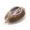 Natural Cowrie Shell Copper Wire Wrapped Pendants PALLOY-JF02451-01-3