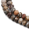 Natural Gobi Agate Beads Strands G-F668-25-B-4