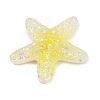 Transparent Resin Cabochons RE-CBAF00C-09-3
