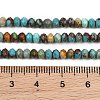 Natural Anhui Turquoise Beads Strands GG-CBA5BAE-B01-5