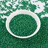 MIYUKI Round Rocailles Beads SEED-JP0009-RR0646-2