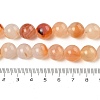 Natural Red Agate Beads Strands G-A248-A06-04-5