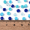 Opaque & Transparent Glass Seed Beads SEED-Q041-06E-4