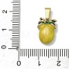 304 Stainless Steel Enamel Fruit Vegetable Charms STAS-F336-02A-G-3