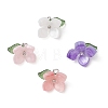 4Pcs 4 Colors Resin Pendants PALLOY-TA00213-02-1