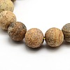 Frosted Natural Picture Jasper Round Bead Strands X-G-M064-10mm-05-2