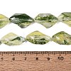 Handmade Lampwork Beads Strands LA-N046-02F-4