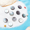 1 Strand Natural Black Lip Shell Beads Strands SHEL-BC0001-026-4