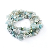 Natural Gemstone Bead Strand X-F031-3