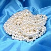 Round Shell Pearl Bead Strands BSHE-L011-16mm-A013-2