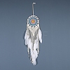 Iron Bohemian Woven Web/Net with Feather Macrame Wall Hanging Decorations PW-WG41914-06-1