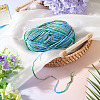 Light Gradient Segment Dyed Polyester Yarn DIY-TADJ0002-005J-6