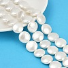 Electroplated Shell Pearl Beads Strands BSHE-G027-13D-1