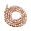 Natural Peach Moonstone Beads Strands G-D470-09-2