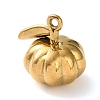 304 Stainless Steel Charms STAS-D203-01G-2