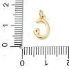 Brass Micro Pave Clear Cubic Zirconia Charms KK-D289-66G-C-3