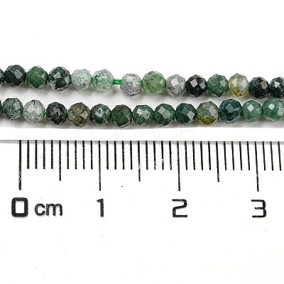 Natural Moss Agate Beads Strands G-K020-3mm-32-1