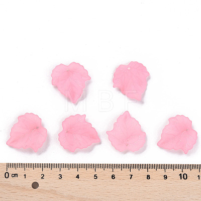 Autumn Theme Transparent Frosted Acrylic Pendants PAF002Y-10-1