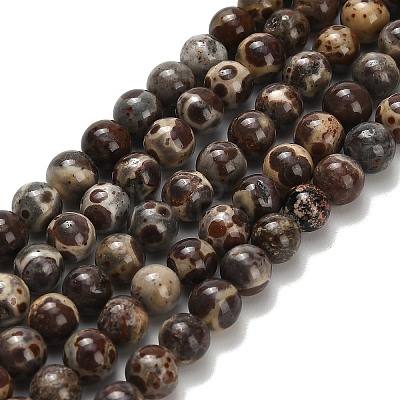 Natural Astroite Jasper Beads Strands G-H329-C02-6mm-1